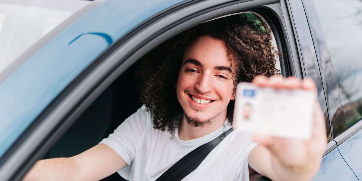 Guide To Online Uk Driving Licence: The Intermediate Guide For Online Uk Driving Licence