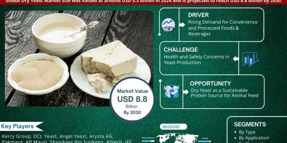 Dry Yeast Market Insights, Share & Growth Trends 2025 to 2030