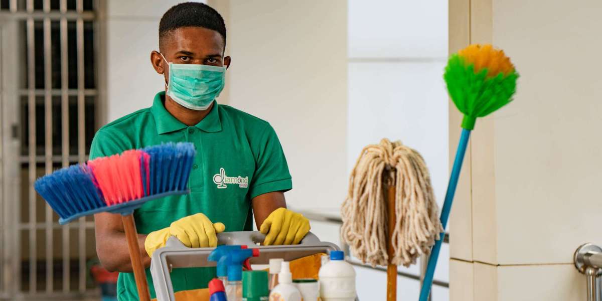 Top Professional Carpet Cleaning Services in Brighton