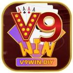 V9win Diy