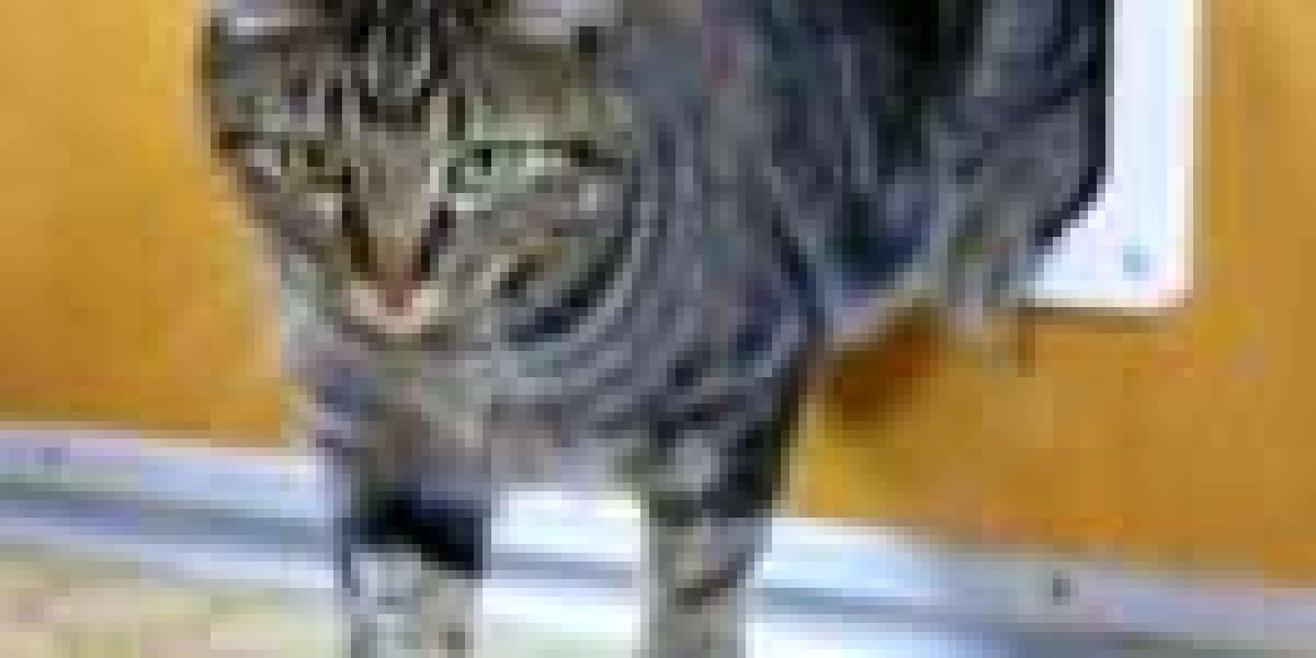 9 . What Your Parents Taught You About Professional Cat Flap Installer