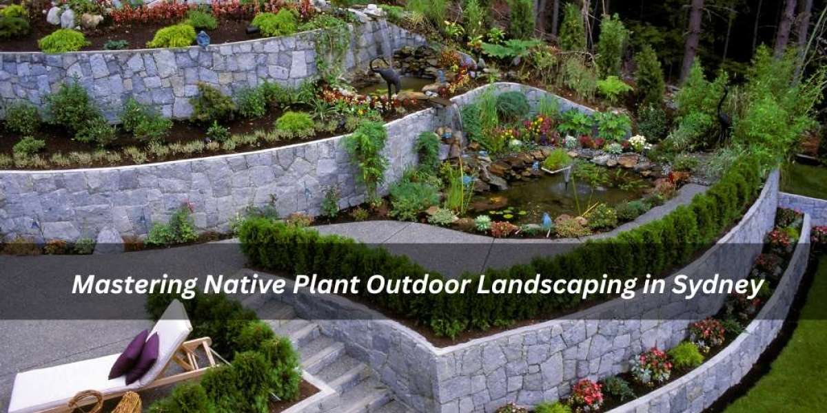 Mastering Native Plant Outdoor Landscaping in Sydney