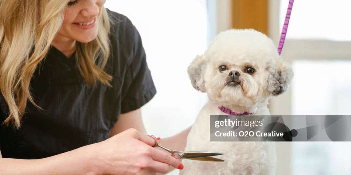 Keep Your Dog Clean and Happy with Mobile Grooming