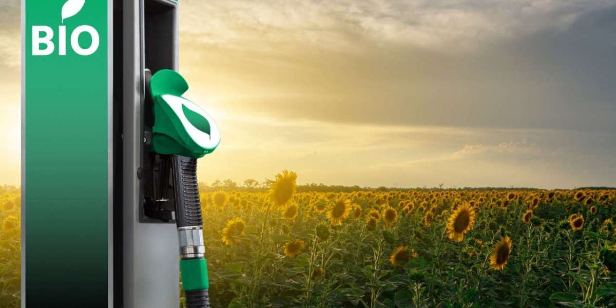 Detailed Plant Setup Report on Biodiesel Manufacturing Includes Business Plan, Layout and Cost Analysis