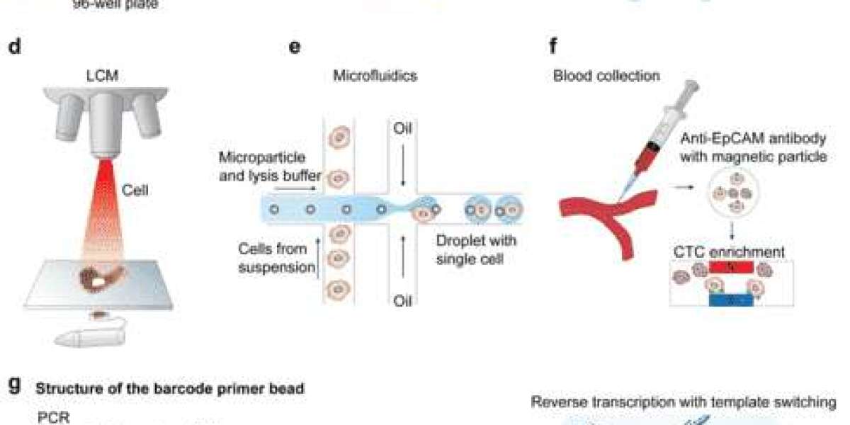 Introduction, Methods, and Applications of Single-cell RNA Sequencing