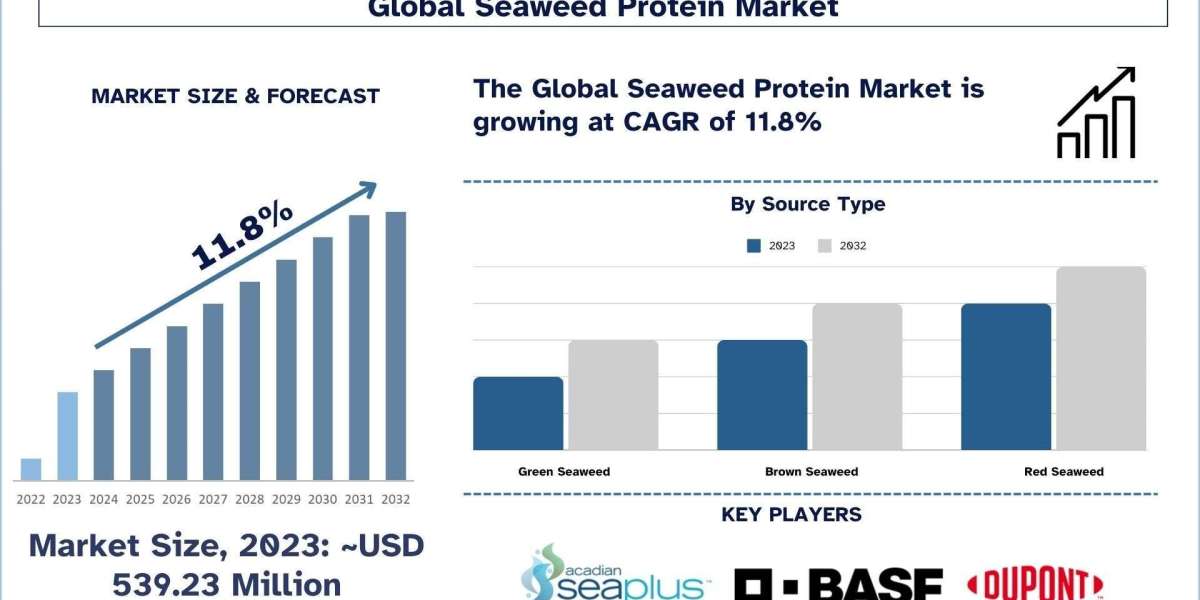 Seaweed Protein Market Size, Share, Growth, Trends, and Forecast 2032
