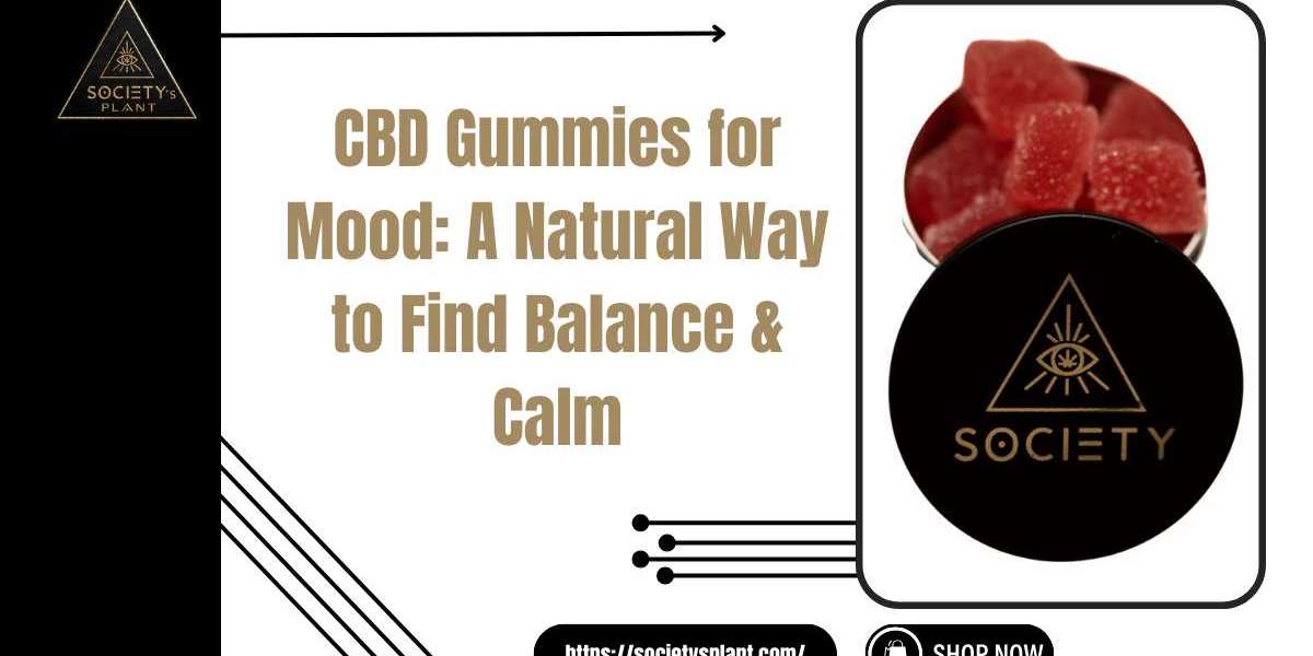 CBD Gummies for Mood & Wellness | Society’s Plant