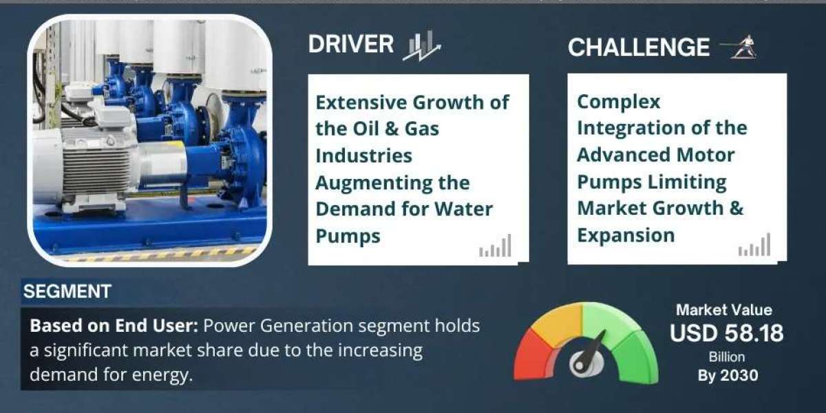 Water Pumps Market Insights, Share & Growth Trends 2025 to 2030