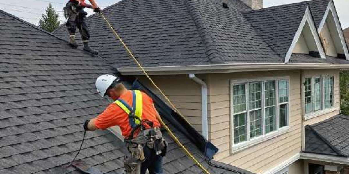 Roof Maintenance Services in NZ: Protecting Your Home from the Top Down