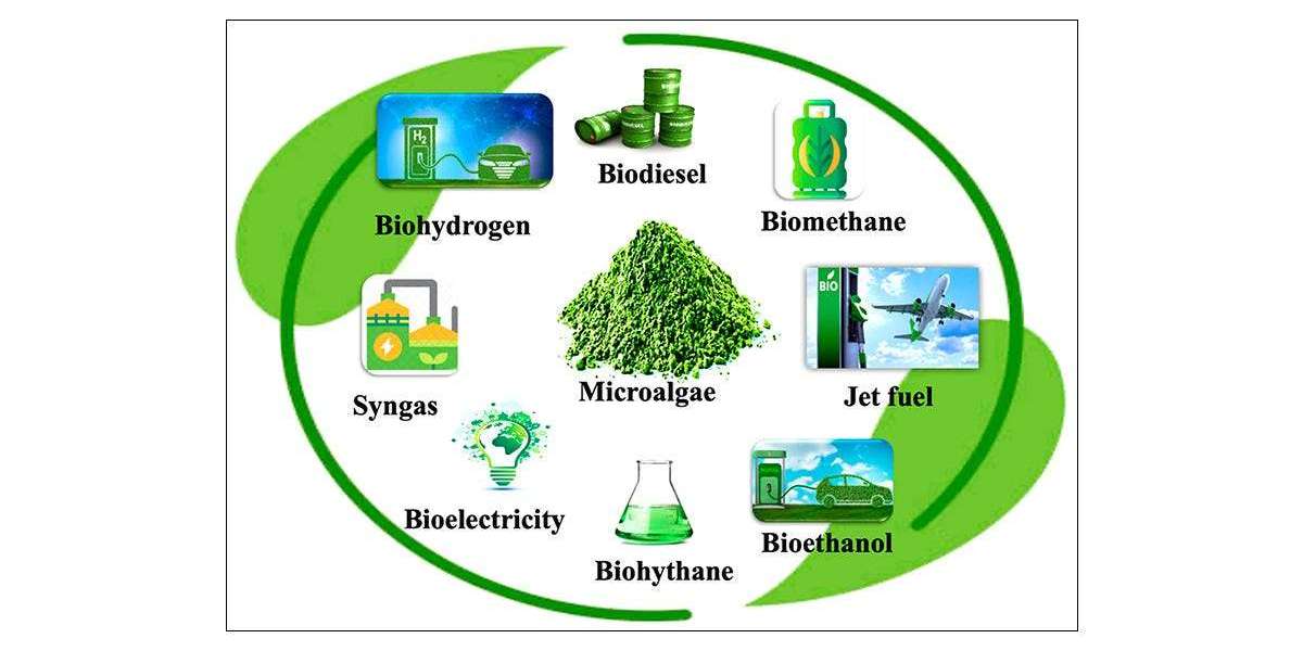 Algae Biofuel Market to Expand Steadily with CAGR of 10.3%, Targeting $32.73 Billion by 2035