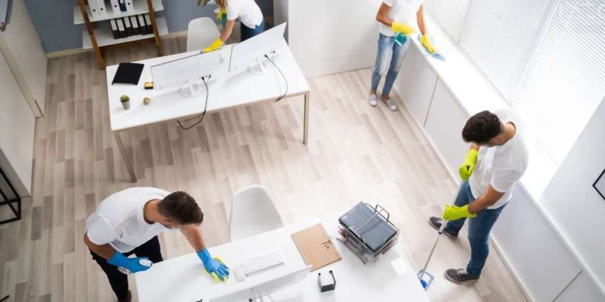 Top Professional Carpet Cleaning Services in Brighton, VIC