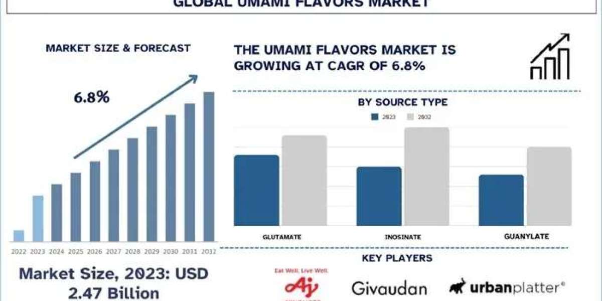 Umami Flavors Market Reports, Share, Growth and Forecast 2032