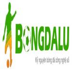 bongdaluvip net