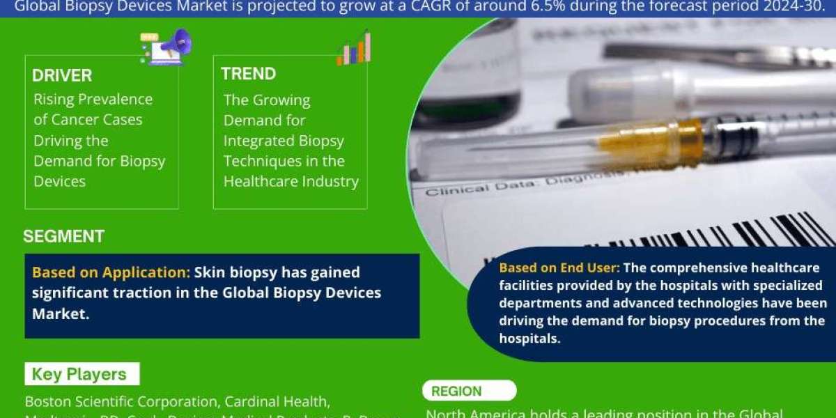 Biopsy Devices Market Insights, Share & Growth Trends 2024 to 2030