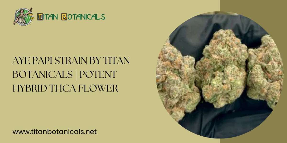 Aye Papi Strain by Titan Botanicals | Potent Hybrid THCa Flower