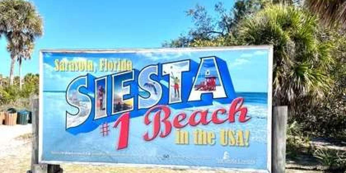 Sunny Days Beach Gear | Siesta Key Beach Chair Rentals for Ultimate Coastal Comfort