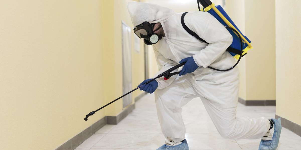 Why Regular Pest Control is Essential for Every Home
