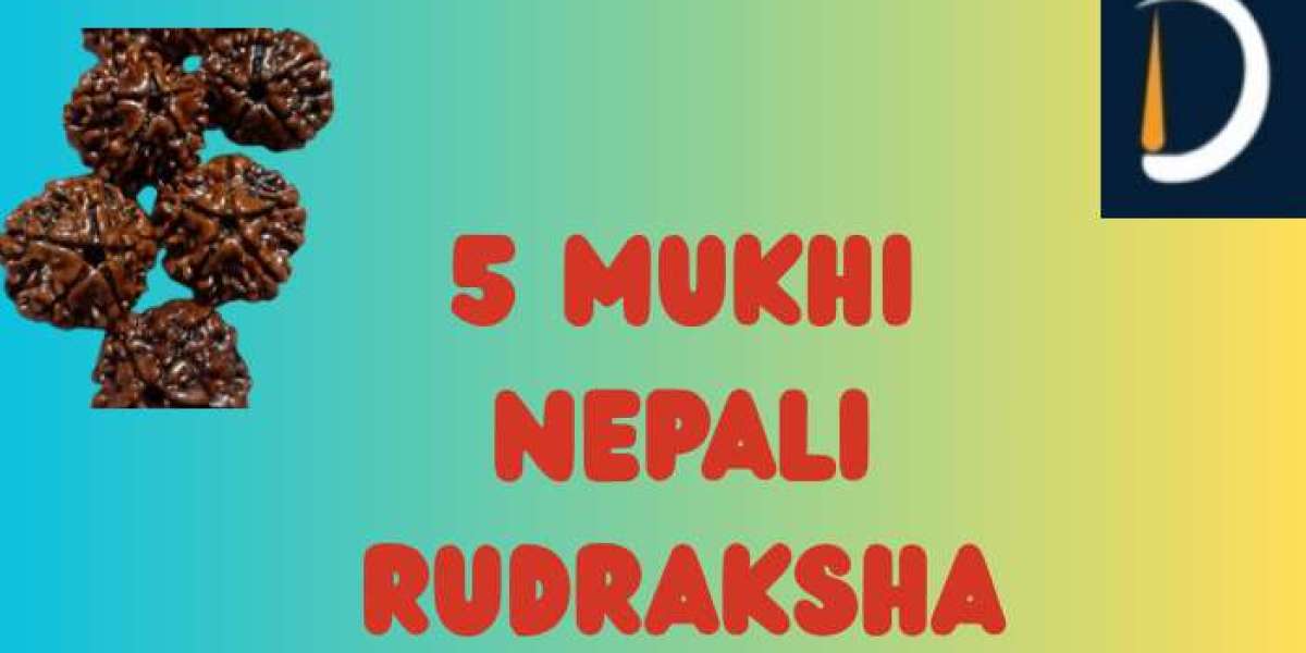 Unlocking the Power of the 5 Mukhi Nepali Rudraksha – Nature’s Spiritual and Healing Gem