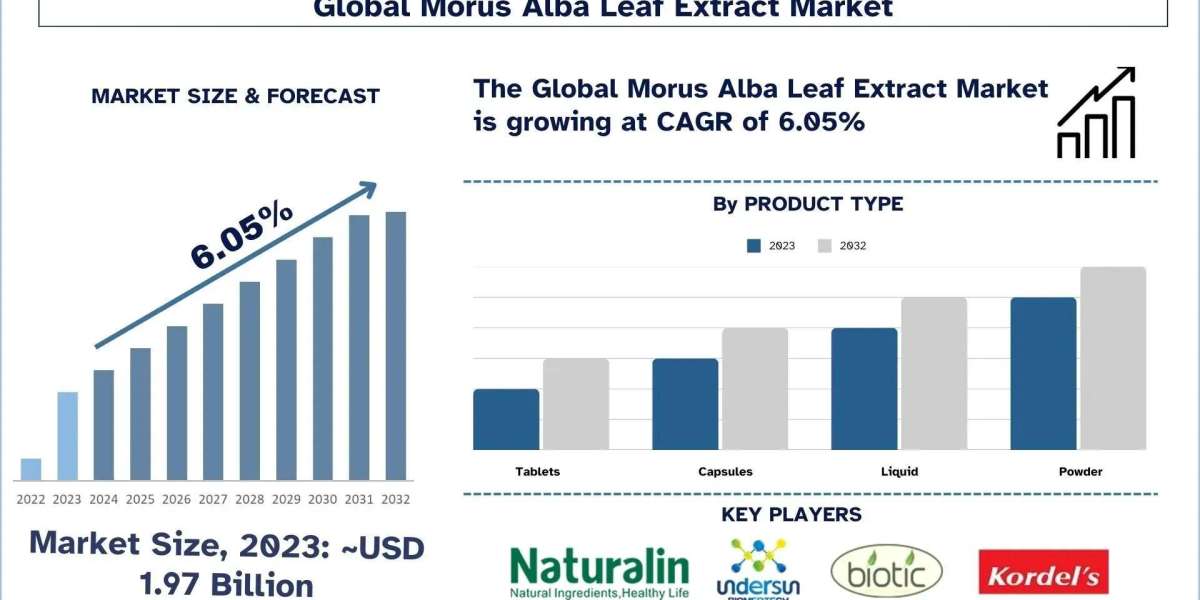 Morus Alba Leaf Extract Market Reports, Size, Growth, Analysis, Trends, and Forecast 2032