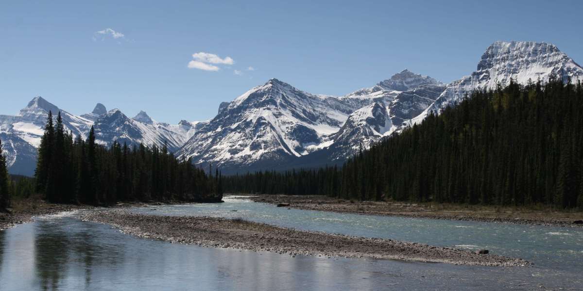 Discover the Wild Beauty with Vista Chase: Banff National Park Tours and Beyond