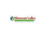 Blossom valley Therapy Centre