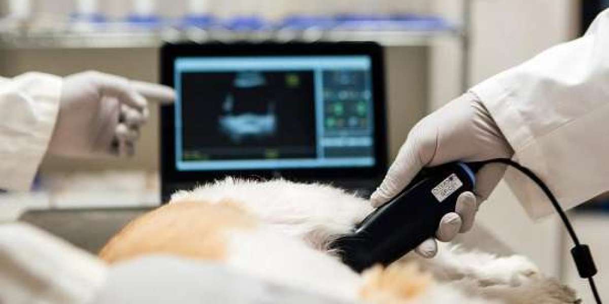 Advancing Animal Health: Trends in the Veterinary Imaging Market