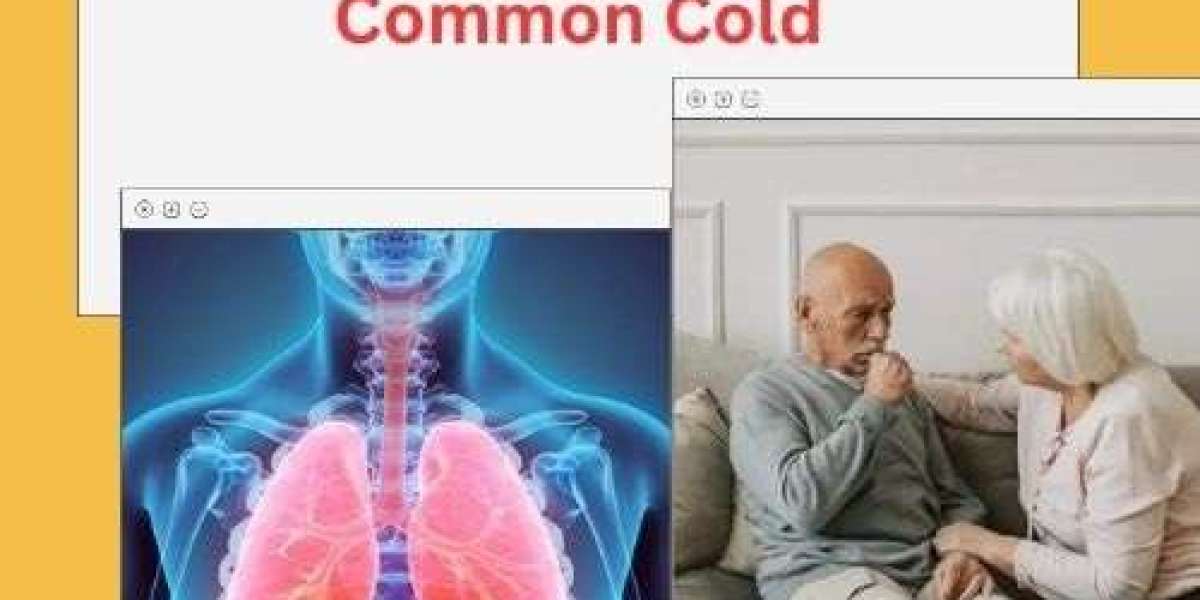 Boosting Your Respiratory Resilience: Beyond the Common Cold