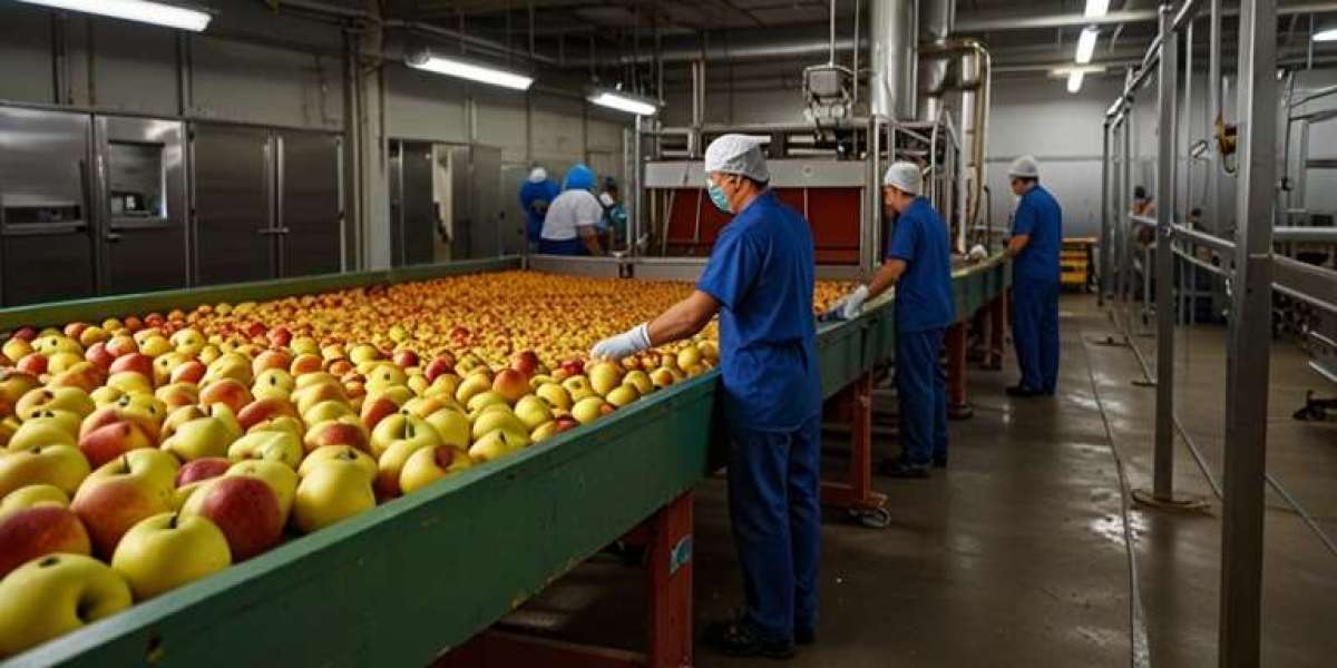 How to Set Up an Apple Processing Unit: Business Plan, Machinery Cost & Capital Investment Guide