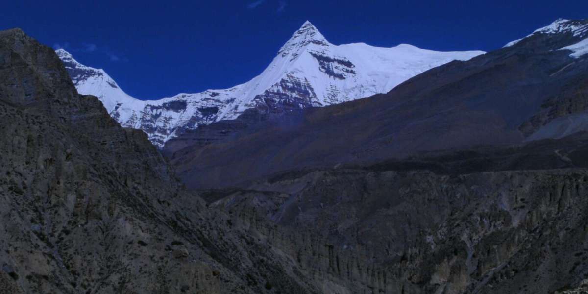 Lost in the Silence: Why a Nar Phu Valley Trek Guide Is Your Lifeline