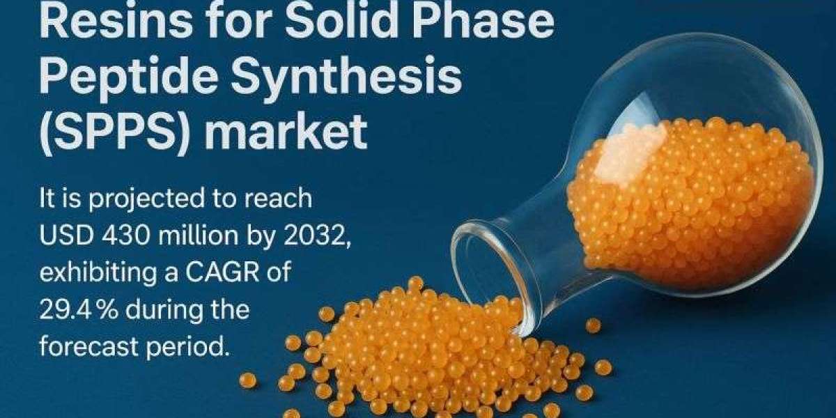 P(3HB-co-4HB) Market, Global Outlook and Forecast 2025-2032