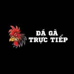 Đá Gà Trực Tiếp