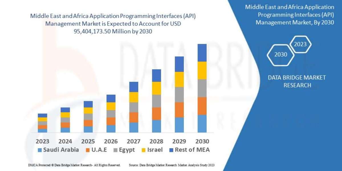 Middle East and Africa Application Programming Interfaces (API) Management Market Ingredients, Share, Growth, Demand, Fo
