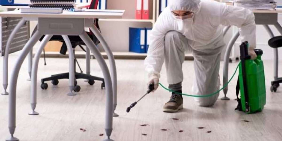 Residential Pest Control London: Protecting Your Home from Unwanted Invaders
