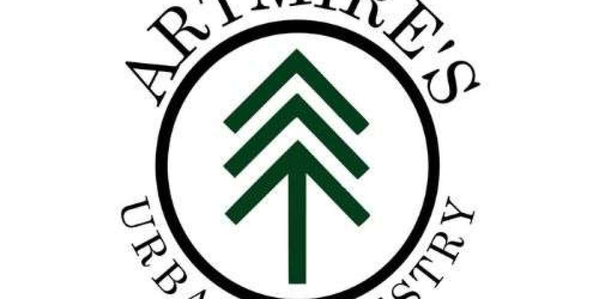Why Hiring a Professional Tree Pruner in Tyler Matters for Your Landscape