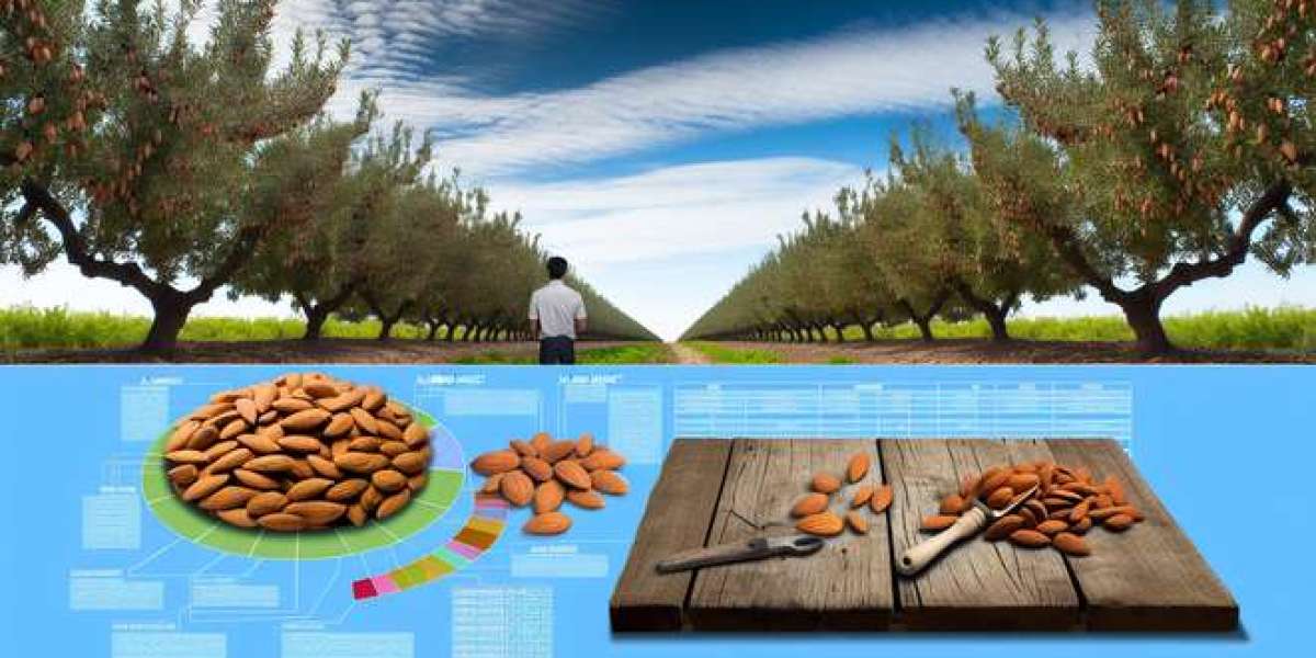 Growth Opportunities And Trends In The USA Almond Market
