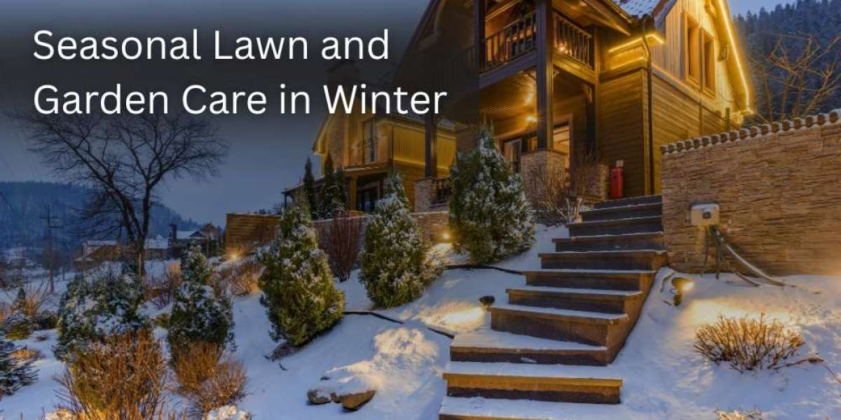 Seasonal Lawn and Garden Care in Winter