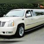Birthday Party Limousine Service Philadelphia Pa