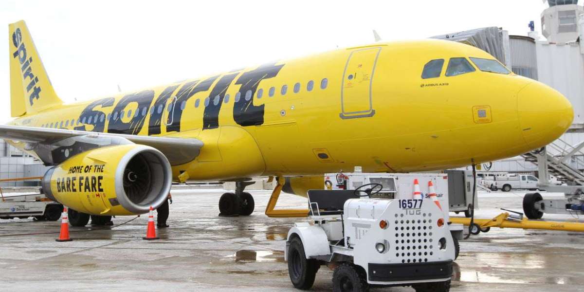 Your Complete Guide to the Spirit Airlines New York Office