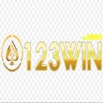 123win agency