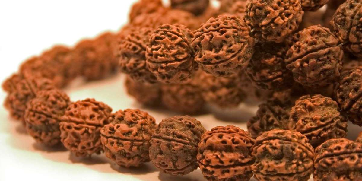 Power and Purity of 3 Mukhi Rudraksha: Meaning & Benefits