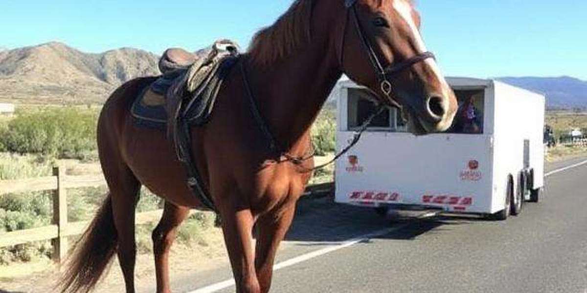 Reliable and Safe Local Horse Transport in California