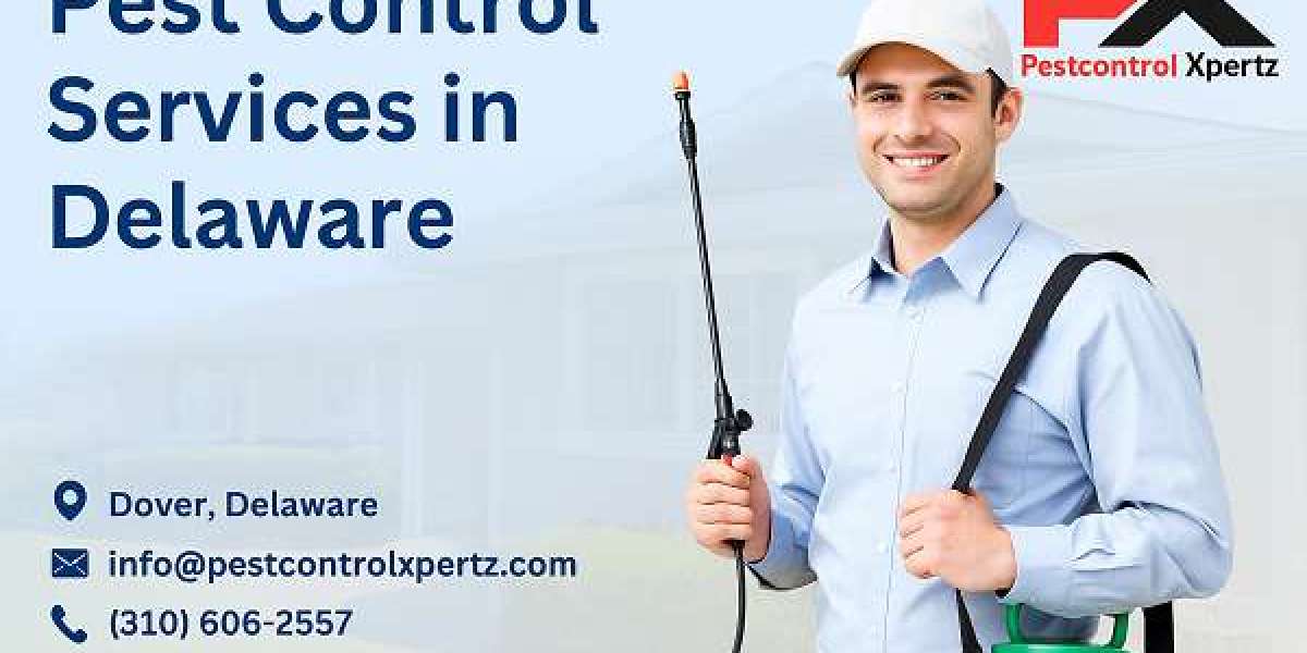Complete Guide to Pest Control in Glasgow: What Residents Should Know