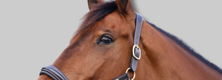 Canter Cart Cover Image