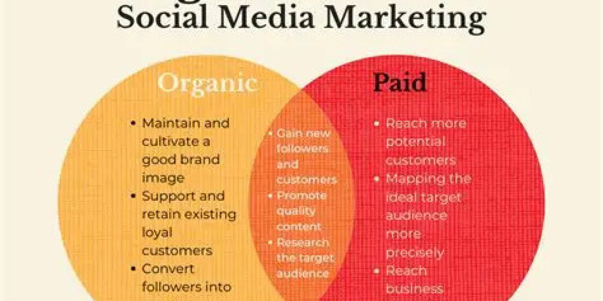 Paid Ads versus Organic Content - Which is More Important for Your Business?