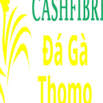 Đá Gà Trực Tiếp Thomo