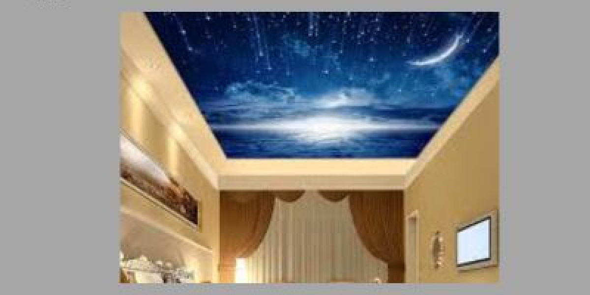 stretch ceiling in Delhi- berrisol & lllusion Decors