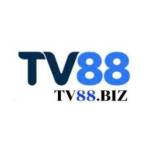 TV88 Biz Profile Picture