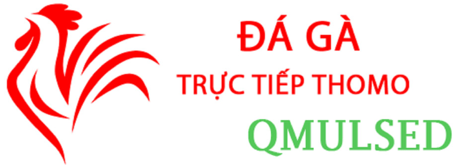 ĐÁ GÀ TRỰC TIẾP LYSET Cover Image