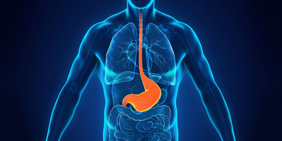 Surgical Gastroenterologist in Chennai – Expert Care for Your Digestive Health|Dr. Srivatsan Gurumurthy