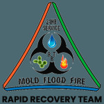 rapidrecoveryteam